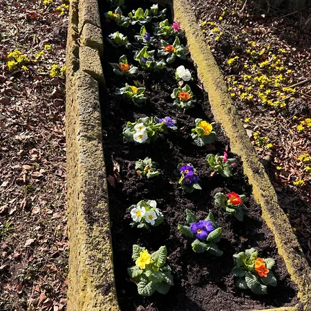 Gaestezimmer Auf Dem Erlenhof *