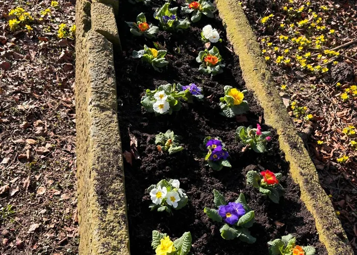 Gästezimmer Auf Dem Erlenhof *